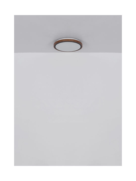 Globo Lighting Таванно осветление Кафяв