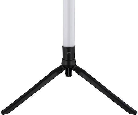 Globo Lighting LED Stehlampe H113 cm mit RGB-Licht Schwarz