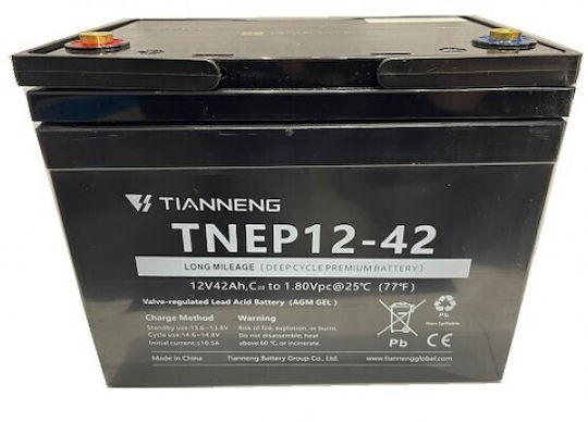 Tianneng Tnep12-42 Baterie de descărcare profundă