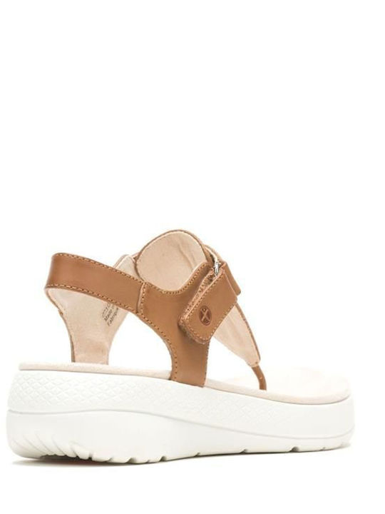 Women's Flat Sandals in Brown Color