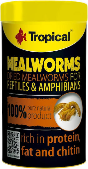 Tropical Meal Worms 250ml Contains