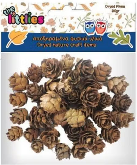 The Littlies Decorative Element for DIY Crafts Brown 12pcs