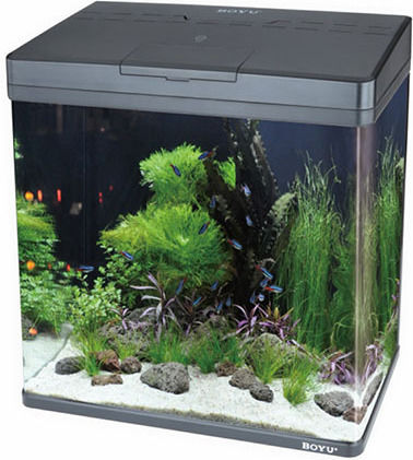 Boyu Ενυδρείο Ψαριών Χωρητικότητας 45lt με 48x25x49εκ.