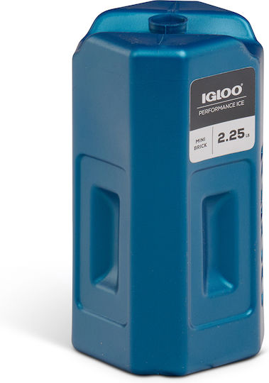 Igloo Mini Ice Brick 1020gr 41046