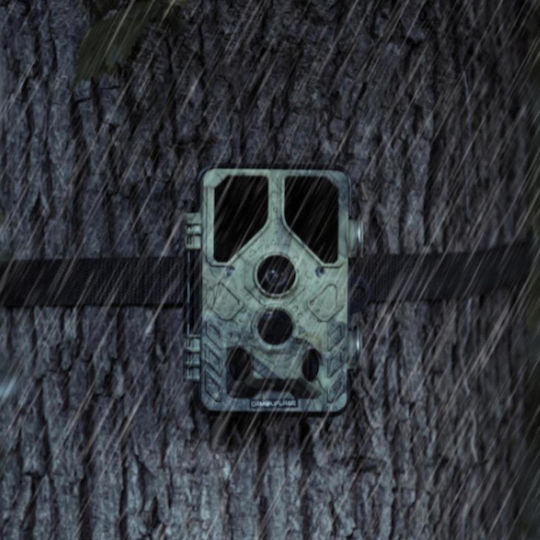 WildcameraXL Wildcameraxl Waterproof Hunting Camera with Motion Detection