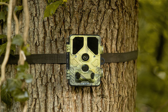 WildcameraXL Wildcameraxl Waterproof Hunting Camera with Motion Detection
