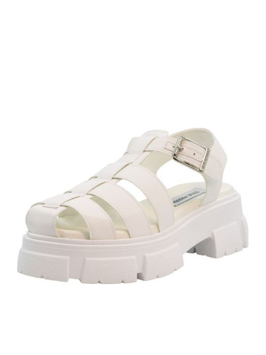 Steve Madden