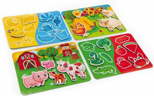 Roter Kafer Educational Game Knowledge