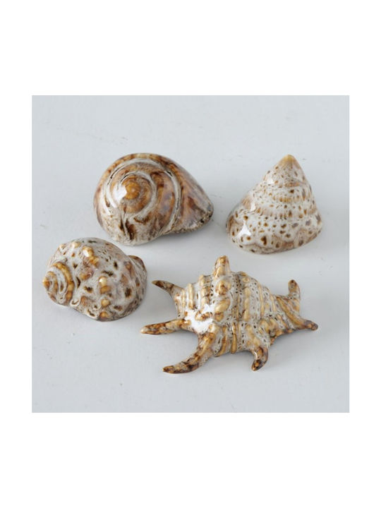 Shells Διακοσμητικά Κοχύλια Πορσελάνης 4 Τμχ