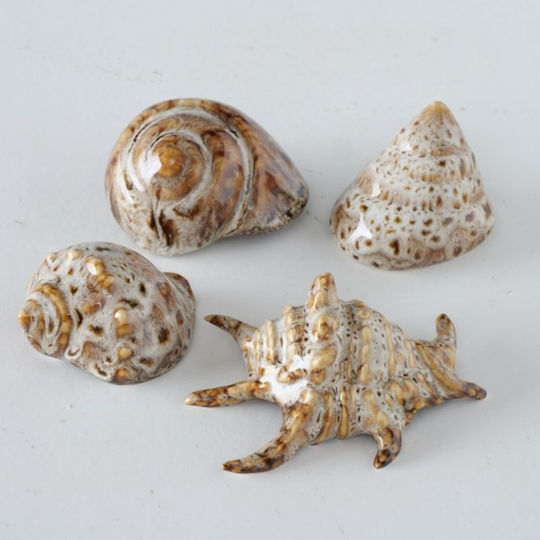 Shells Διακοσμητικά Κοχύλια Πορσελάνης 4 Τμχ Shells Διακοσμητικά Κοχύλια Πορσελάνης 4 Τμχ