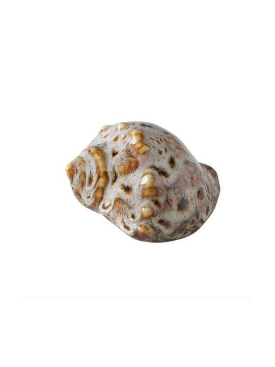 Shells Διακοσμητικά Κοχύλια Πορσελάνης 4 Τμχ