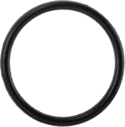 Neo Tools O ring 11-977 225τμχ