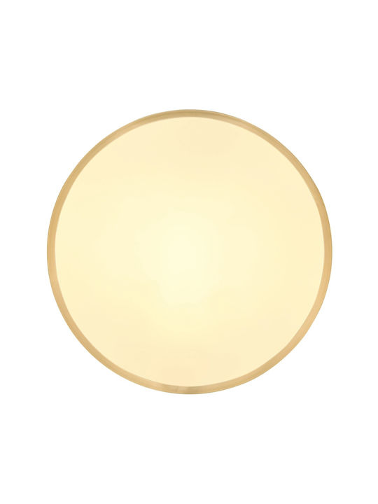 Globo Lighting Ceiling Mount Light 35cm Bronze with Integrated LED