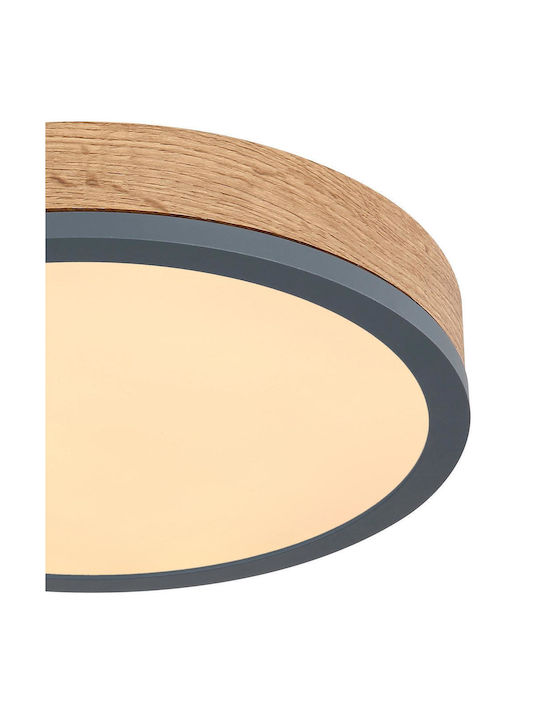 Globo Lighting Doro Plafonieră de Tavan 30buc Maro cu LED Integrat