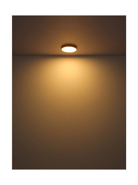 Globo Lighting Πλαφονιέρα Οροφής 25εκ. Μπρούτζινη με Ενσωματωμένο LED