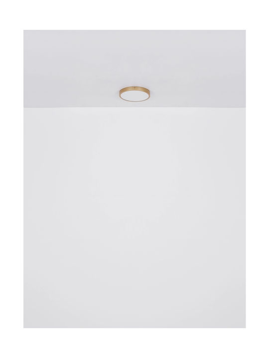 Globo Lighting Πλαφονιέρα Οροφής 25εκ. Μπρούτζινη με Ενσωματωμένο LED