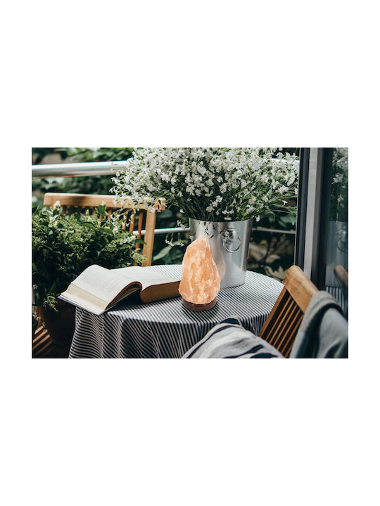 Globo Lighting Lustră Decorativă Sare Himalaya cu Soclu pentru Bec E14 Gri