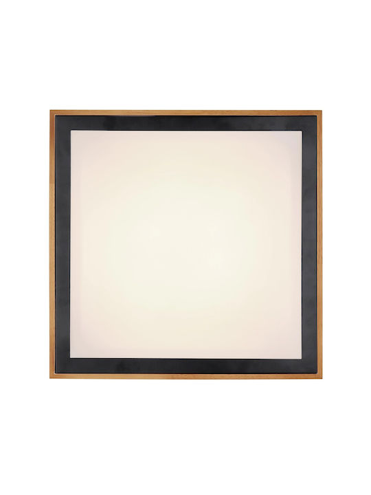 Globo Lighting Bruno Квадрат На открито LED Панел 24W с Студено бяло Светлина 6000К