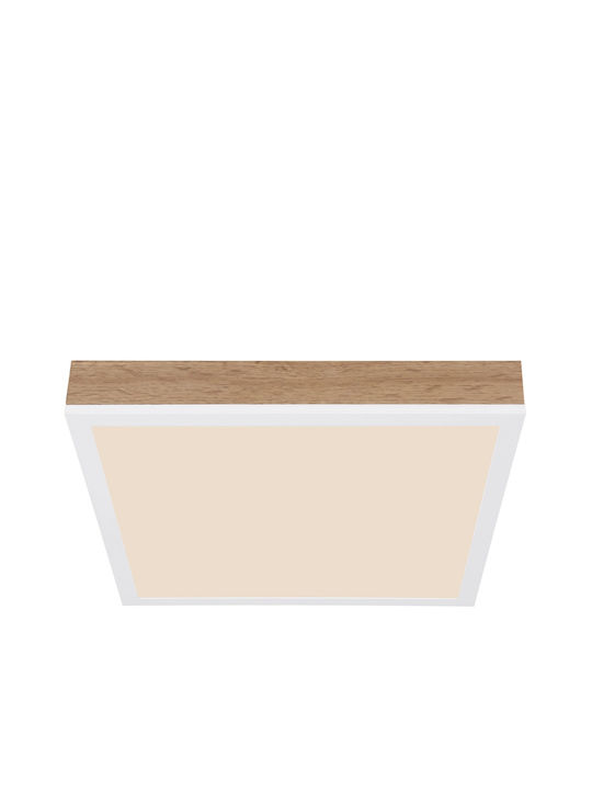 Globo Lighting Pătrat În aer liber Panou LED Putere 12W 30x30cm.