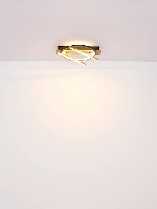 Globo Lighting Draußen LED Panel 32W