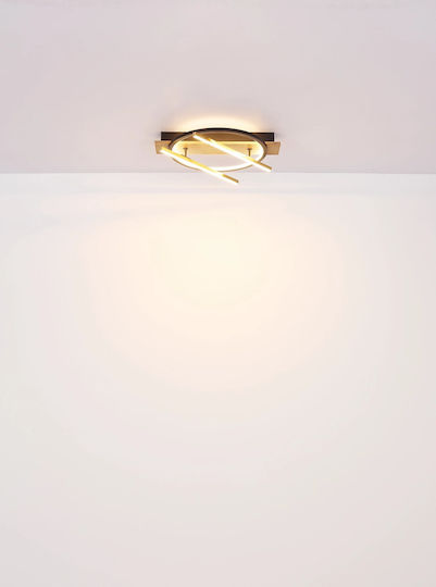 Globo Lighting Draußen LED Panel 32W