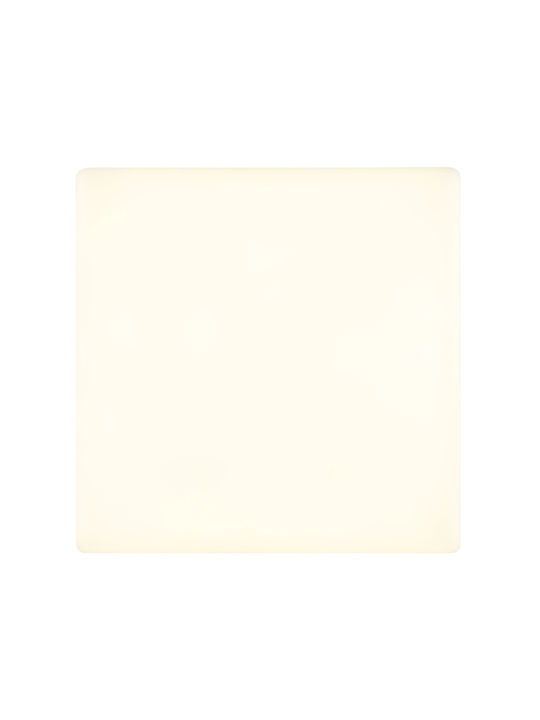 Globo Lighting Panou LED Putere 12W cu Alb Natural Lumini 22x22cm.