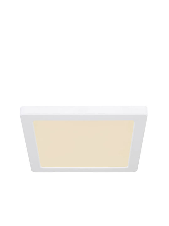 Globo Lighting Квадрат На открито LED Панел 18W с Регулируемо бяло Светлина 21.7x21.7см.