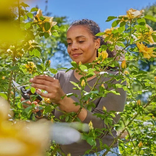 Gardena Premiumcut Ножица за подрязване с Максимален Диаметър на Рязане 24мм