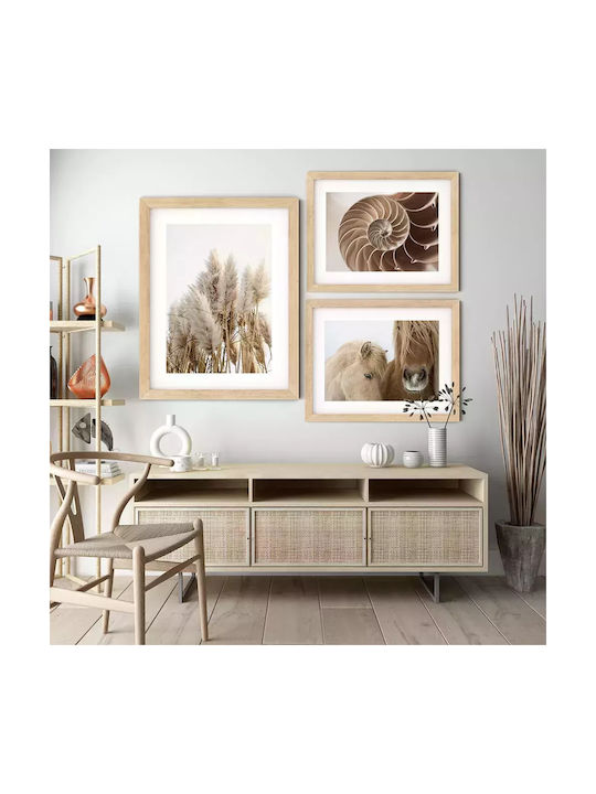 Poster Pampas Grass Pst25101 60cm X 90cm