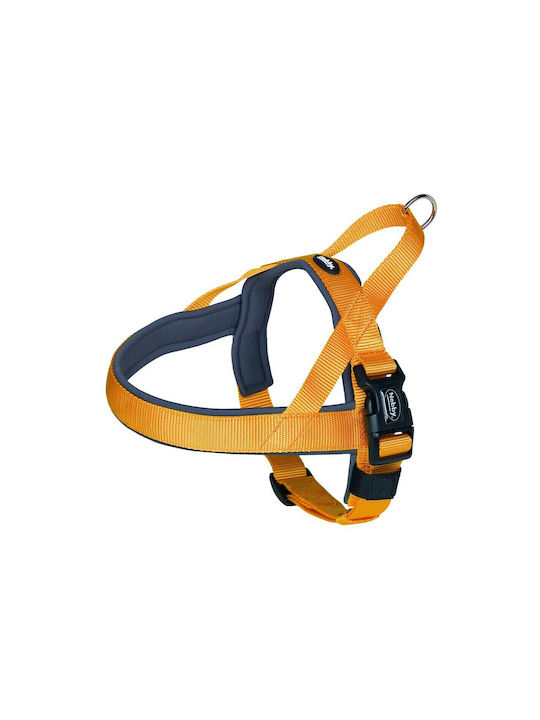 Nobby Hundegeschirre Classic Preno Orange Mittel / Klein 25mm x 38-50cm