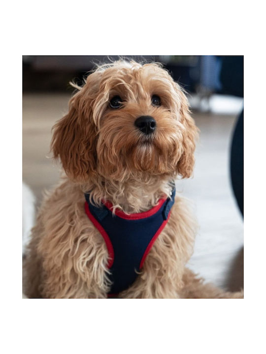 Dingo Anti-pressure Dog Harness 39-51 Cm