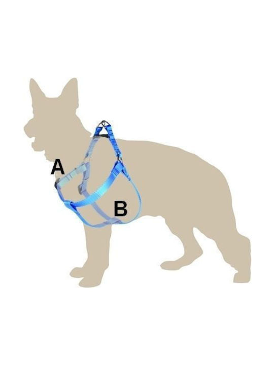 Dingo Πράσινο