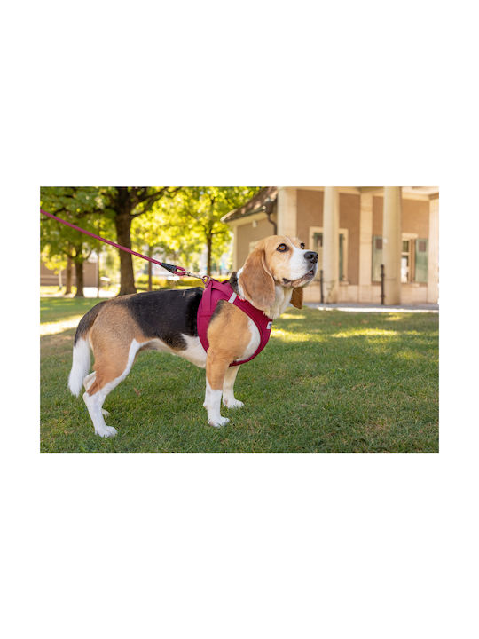 Ham Curli roz din compoziție specială, mărimea Xsmall, 33 9-38 2cm