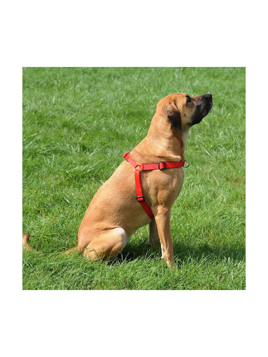 Dingo Easy Walk - Dog Harness - 61-90 Cm