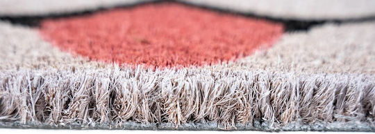 Sdim Entrance Mat made of Coir with Anti-slip Backing Dog Beige-Black 45x75cm Thickness 15mm
