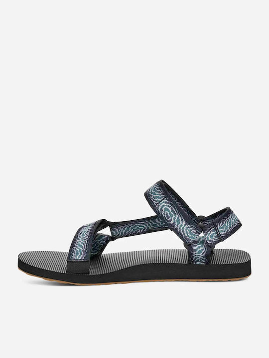 Teva