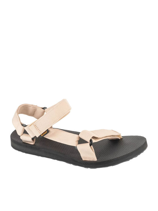 Teva