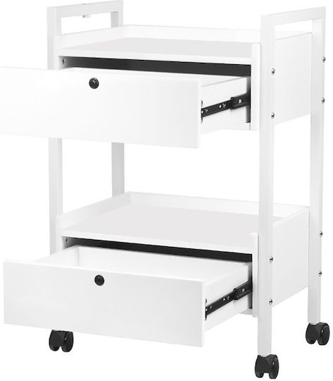Giovanni Hair Salon Maintenance Cart