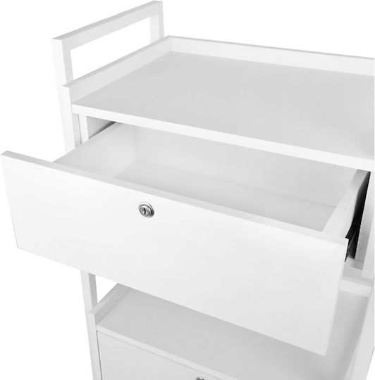 Giovanni Hair Salon Maintenance Cart
