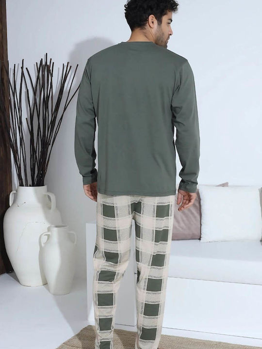 Boyraz Olive