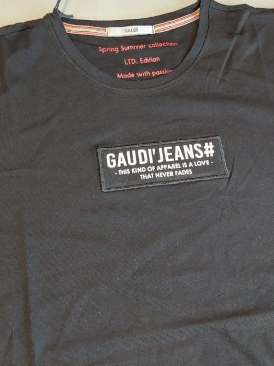 Gaudi