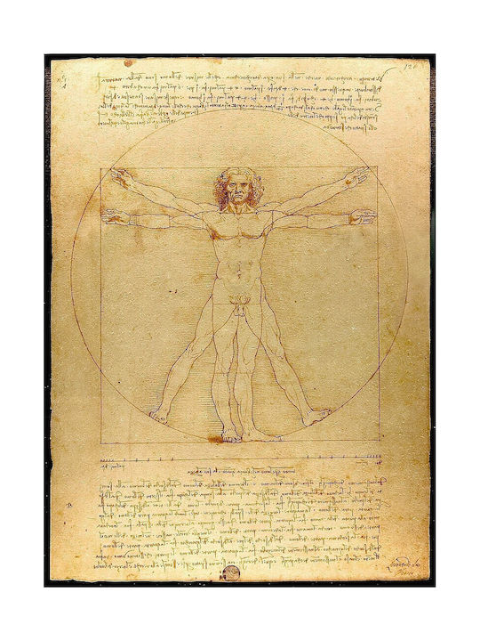 Parastone Βαρίδιο Χαρτιού Leonardo Da Vinci "vitruvian Man"