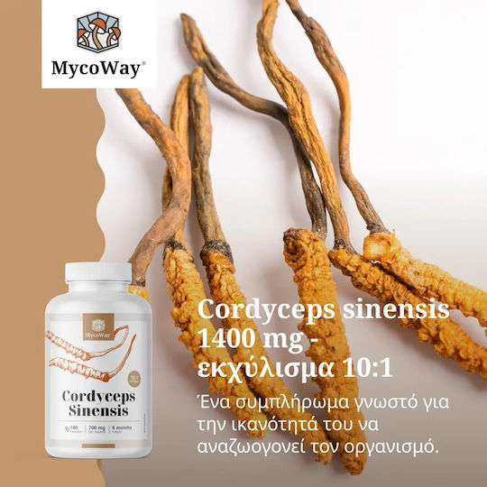 MycoWay Cordyceps Sinensis 1400mg 180 caps