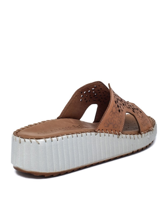 Anatomic Women's Leather Platform Shoes Brown