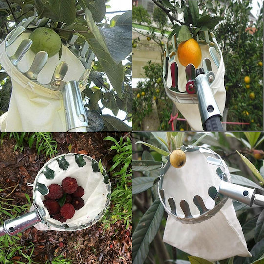 Bradas Fruit Collector