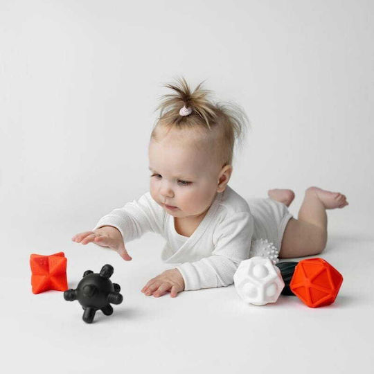 Jokomisiada Contrasting Sensory Baby Activity Toy for Newborns