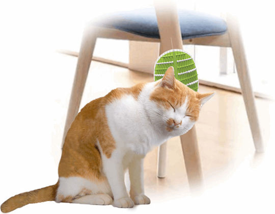 All For Paws Βούρτσα Γάτας 2 In 1 Groomer