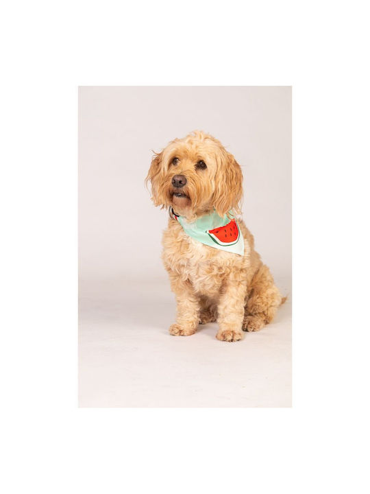 Max & Molly Watermelon Dog Bandana Small