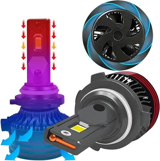 Conpex Lamps Car H1 Canbus LED 6000K Cold White 12V 55W 2pcs