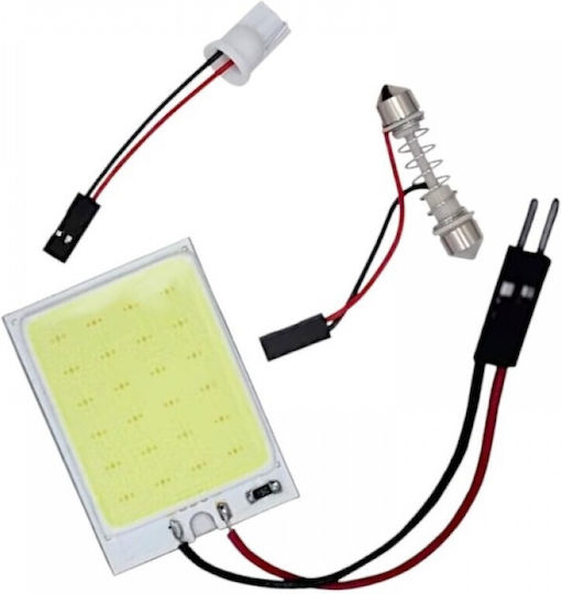 Raistar Λάμπα Αυτοκινήτου LED 6000K Ψυχρό Λευκό 12V